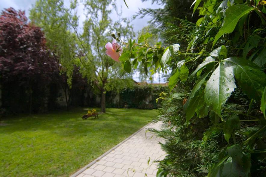 El Molino Villa Nieva  Luaran gambar